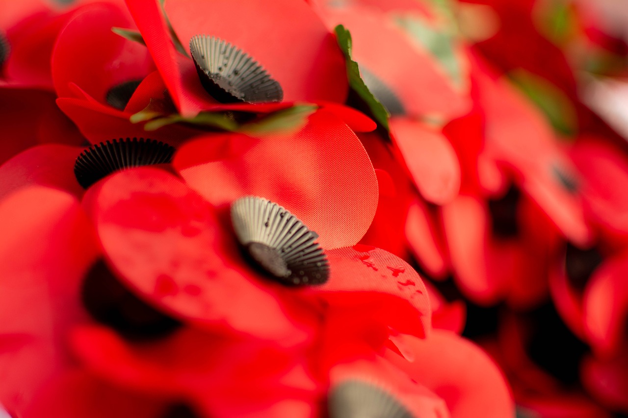 Remembrance Day: Honouring the Past Through a Christian Lens